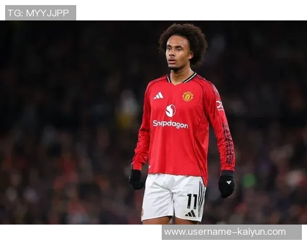 罗马与齐尔克泽和曼联保持沟通转会成败取决于卡里克 罗马与齐尔克泽和曼联保持沟通转会成败取决于卡里克