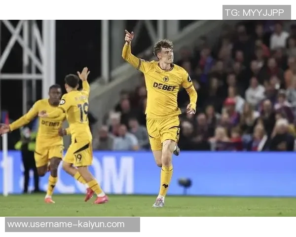 罗马诺曝狼队前锋拉尔森以5000万镑加盟水晶宫交易细节即将确认